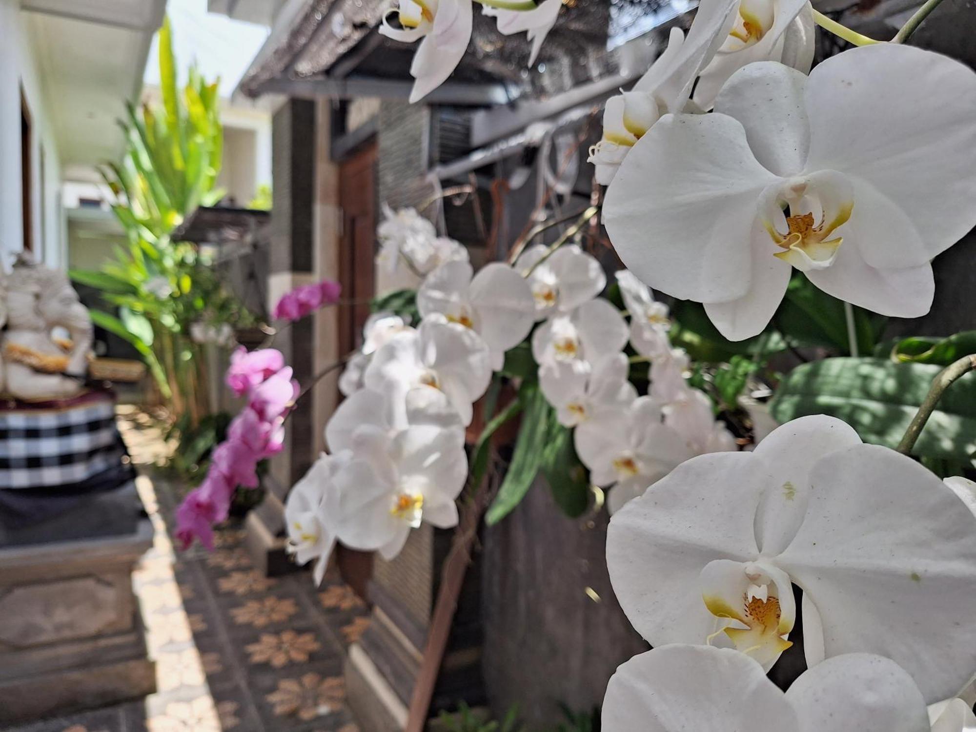 Mandox Villa Bali อูงาซัน ภายนอก รูปภาพ