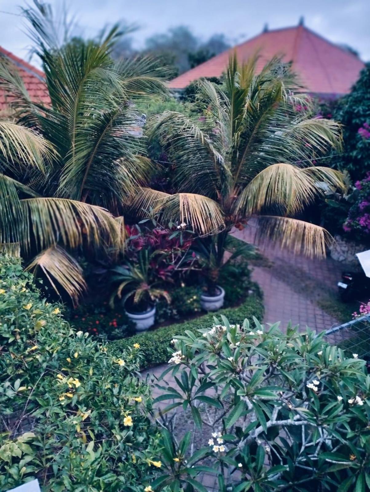 Mandox Villa Bali อูงาซัน ภายนอก รูปภาพ